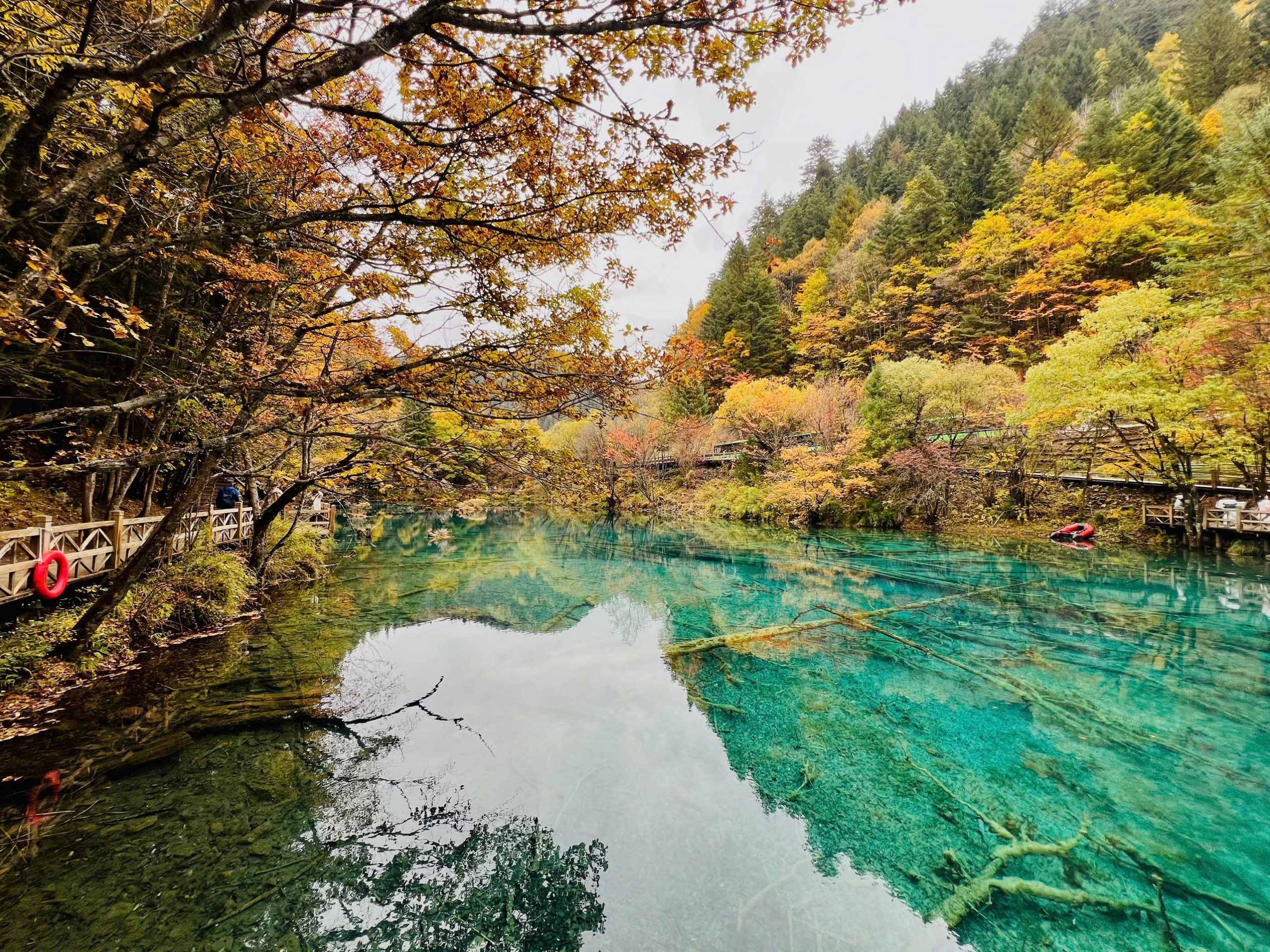 cuu-trai-cau-mua-dong (4)