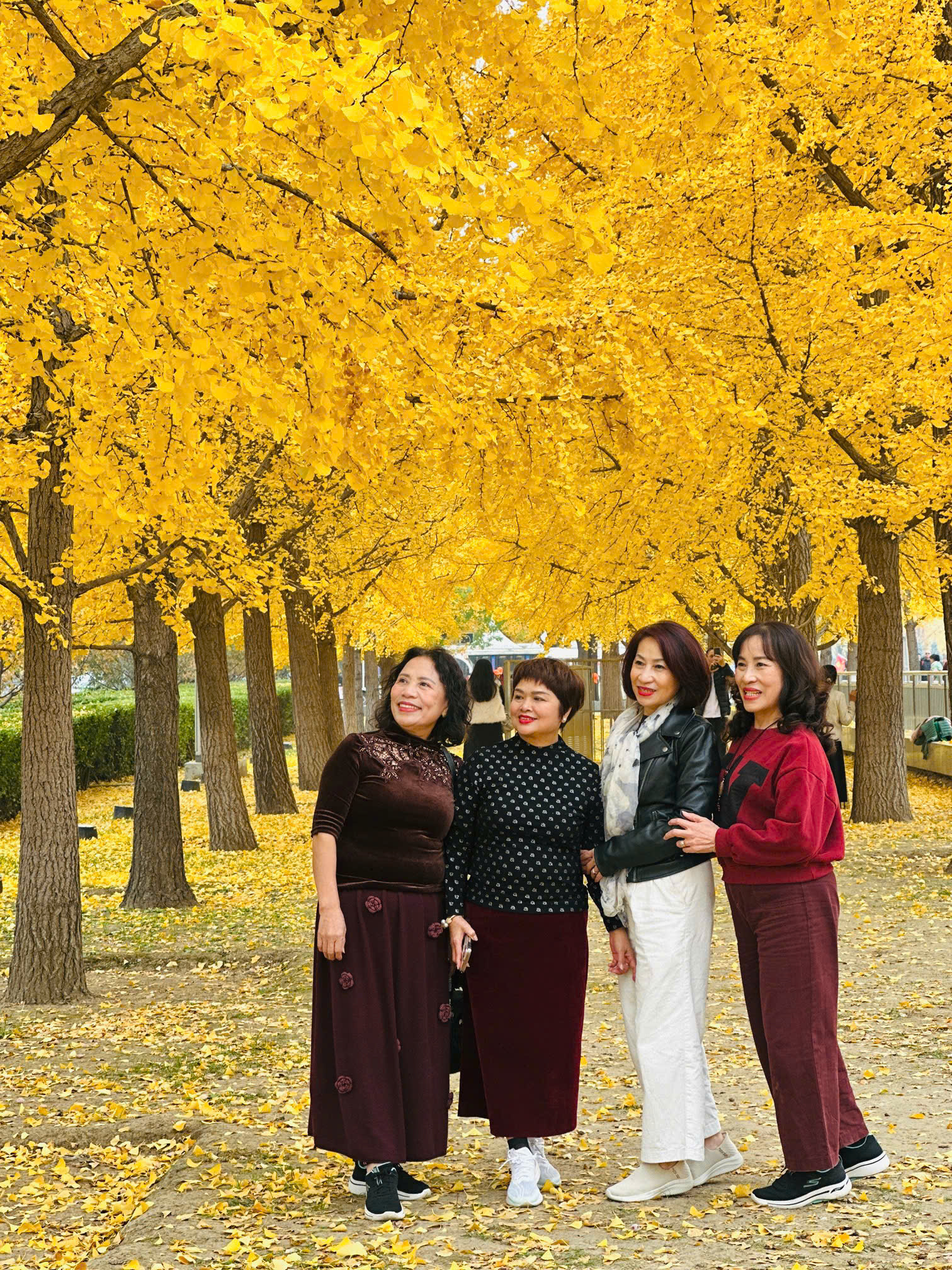 cuu-trai-cau-mua-dong (8)